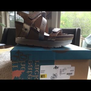 BRAND NEW OTBT’S 7 1/2